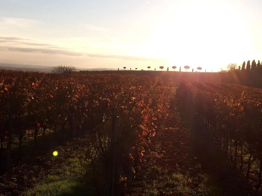 Villa Clair Soleil Au Coeur De La Toscane Occitane Lisle-sur-Tarn Frankrig